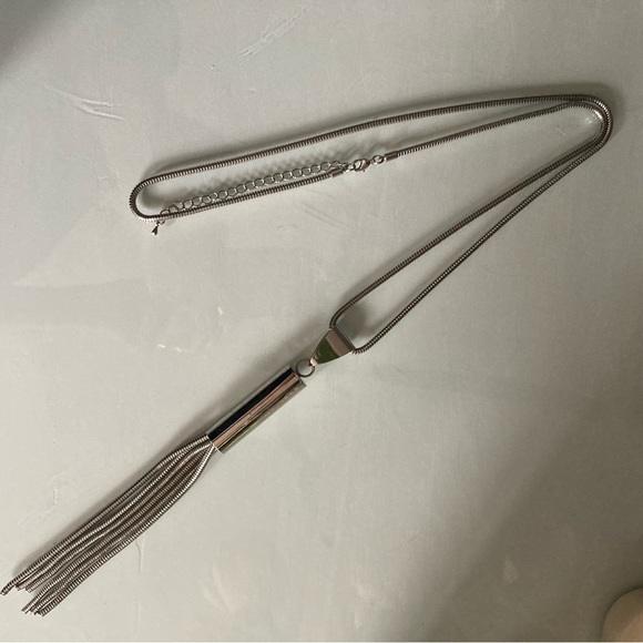 Long Silver Tassel  Fringe Necklace - Picture 1 of 6